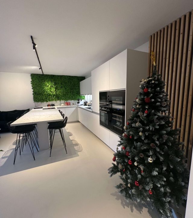 Après la rénovation de l'espace cuisine et salon d'un appartement à Saint-Etienne dans la Loire